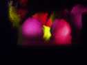 lights 1